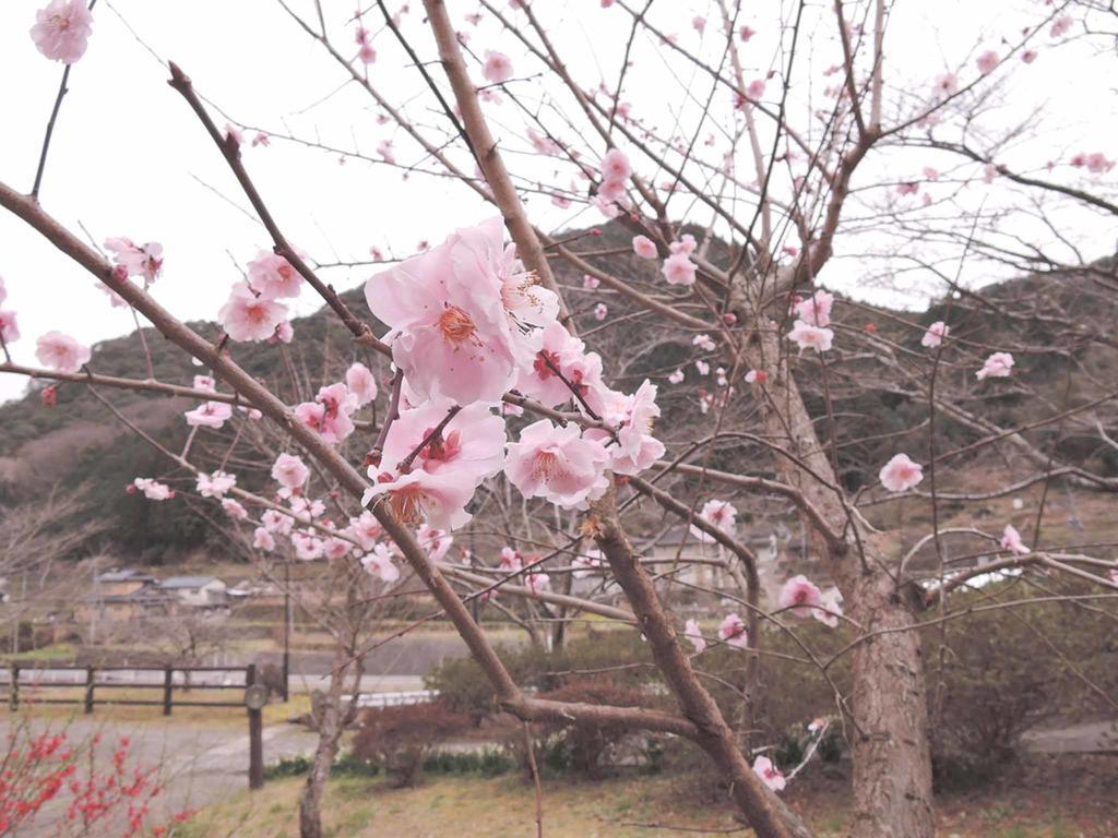 Kawasemi Ogawa (Kumamoto) Exterior photo